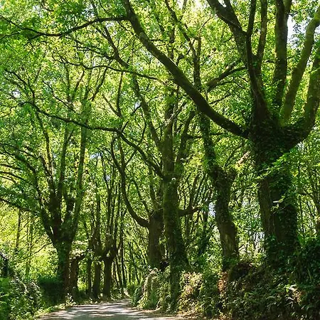 Séjour à la campagne Via Stellae