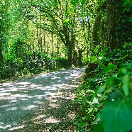 Séjour à la campagne Via Stellae *
