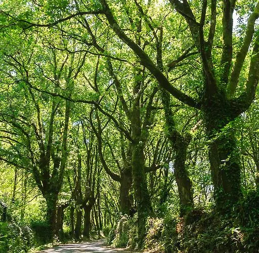 בית כפרי Via Stellae