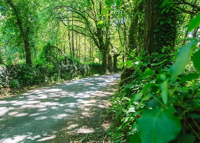 בית כפרי Via Stellae *